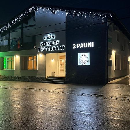 בורסא Pensiune Restaurant Pizzerie 2 Pauni מראה חיצוני תמונה