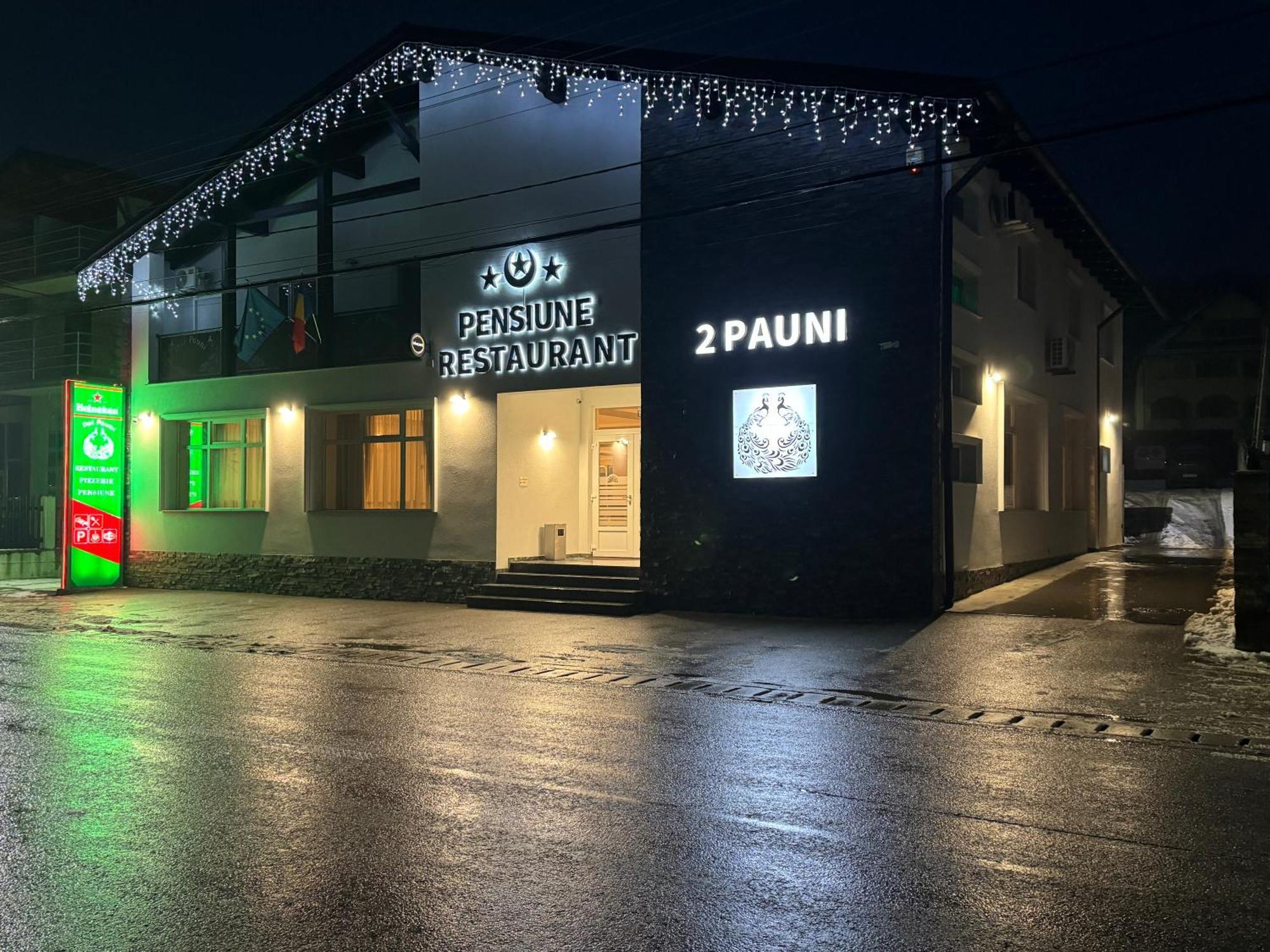 בורסא Pensiune Restaurant Pizzerie 2 Pauni מראה חיצוני תמונה
