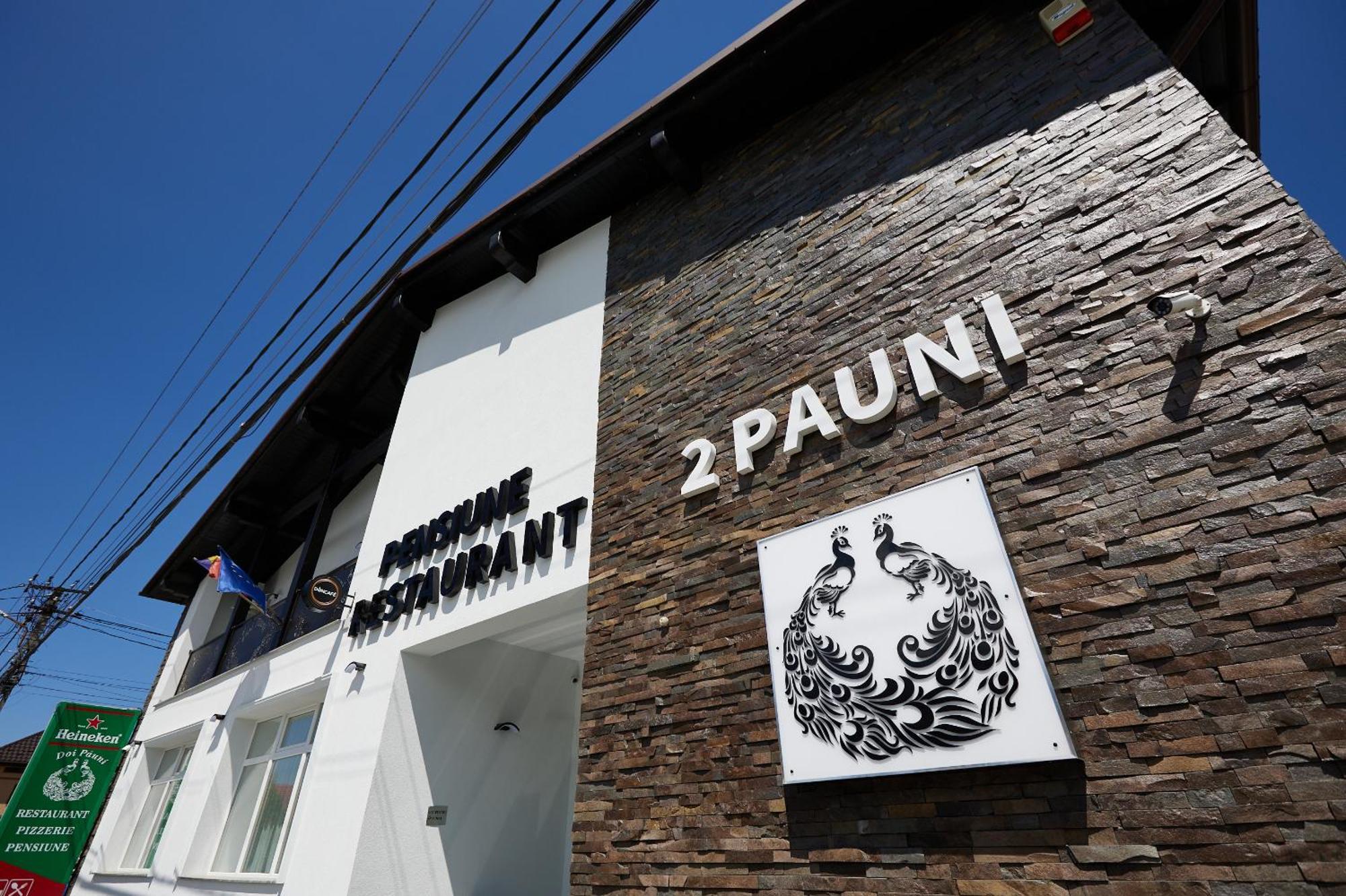 בורסא Pensiune Restaurant Pizzerie 2 Pauni מראה חיצוני תמונה